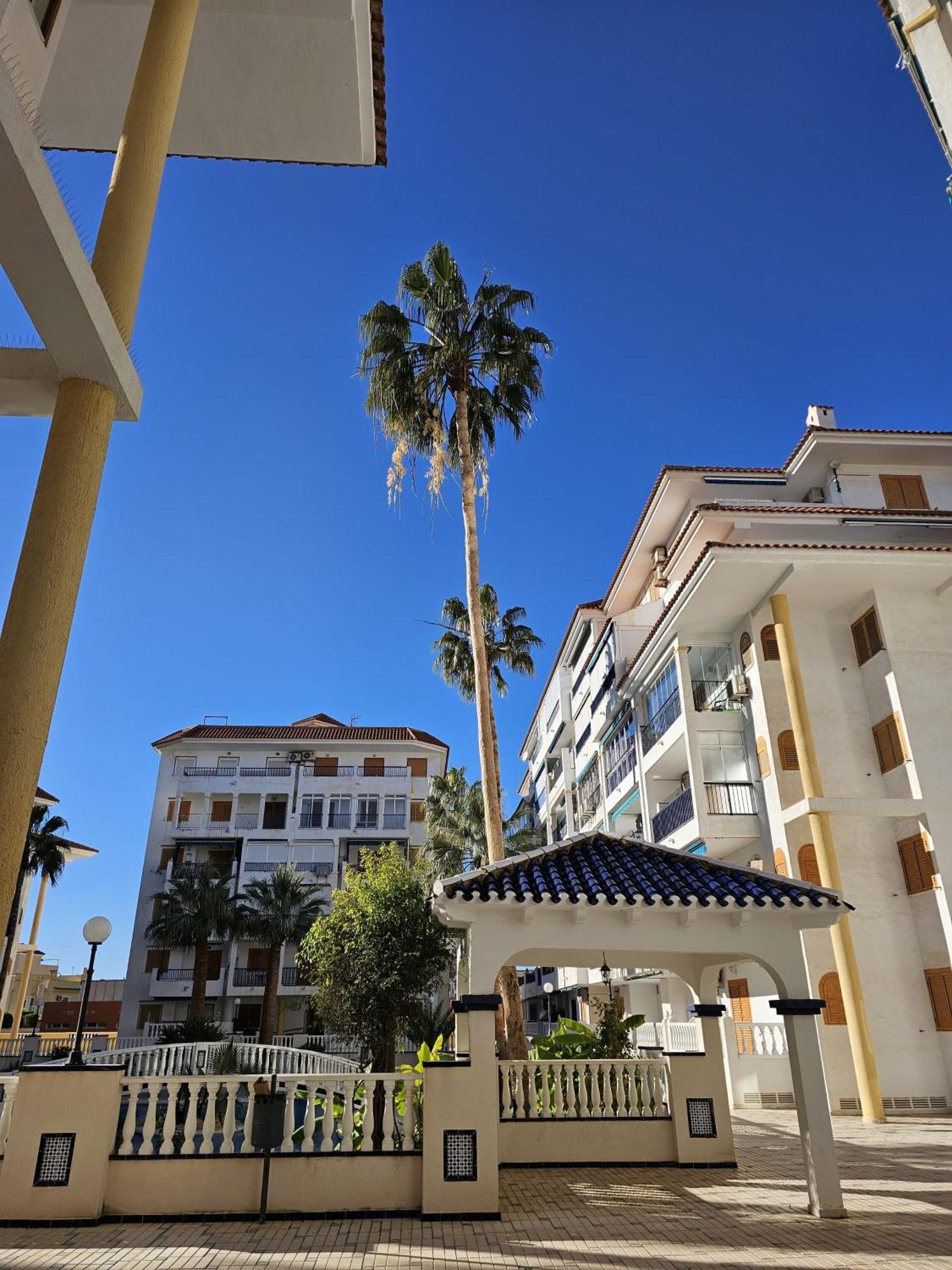 At Costa Blanca - Cozy Apartment With Pool La Mata  Zewnętrze zdjęcie